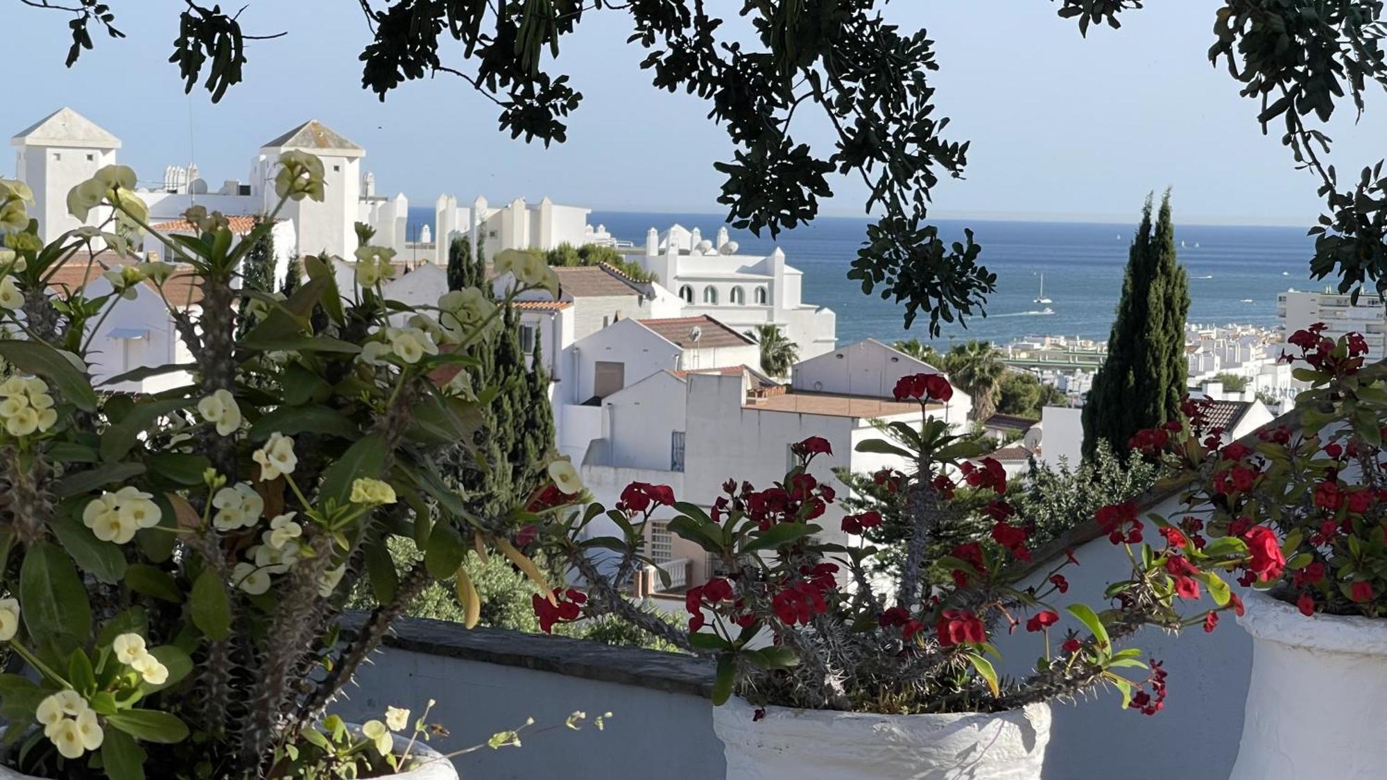 Terra Aloe Otel Torremolinos Dış mekan fotoğraf